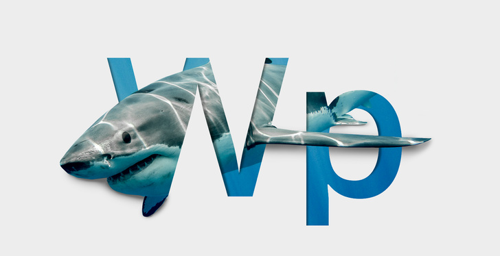 Corso Wordpress e SEO