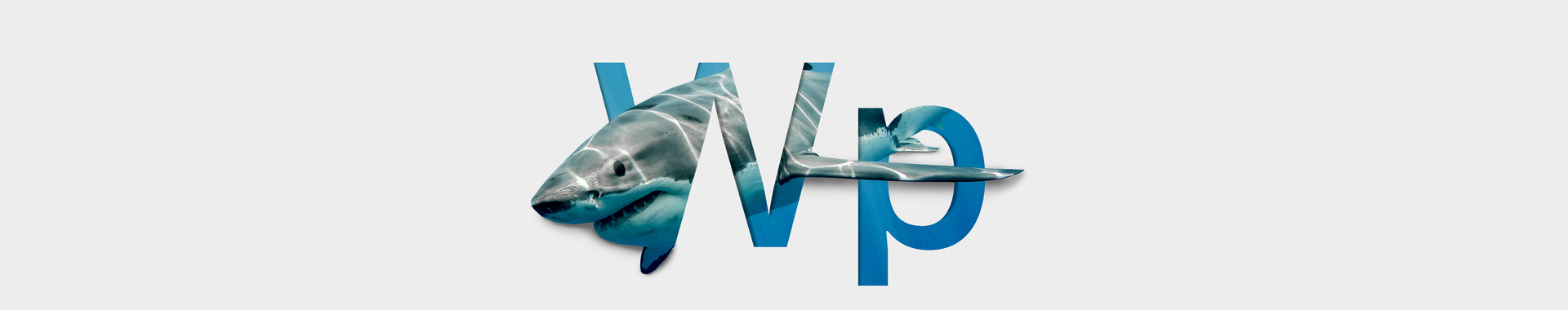 Corso Wordpress e SEO